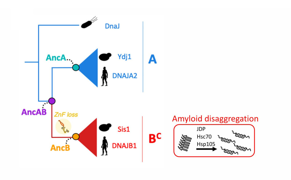 grafika do publikacji