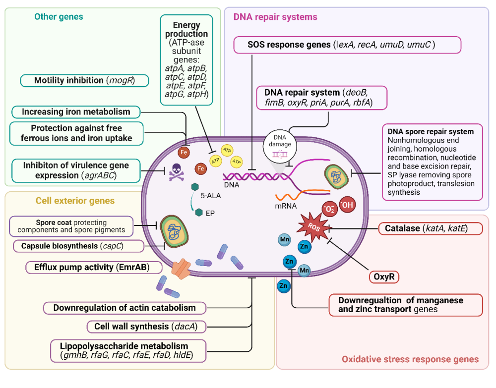 publikacja w Drug Resistance Updates