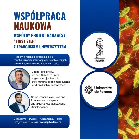 Współpraca Międzynarodowa