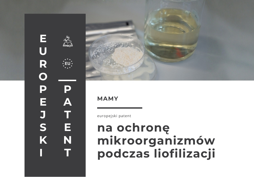 Patent - liofilizacja bakterii