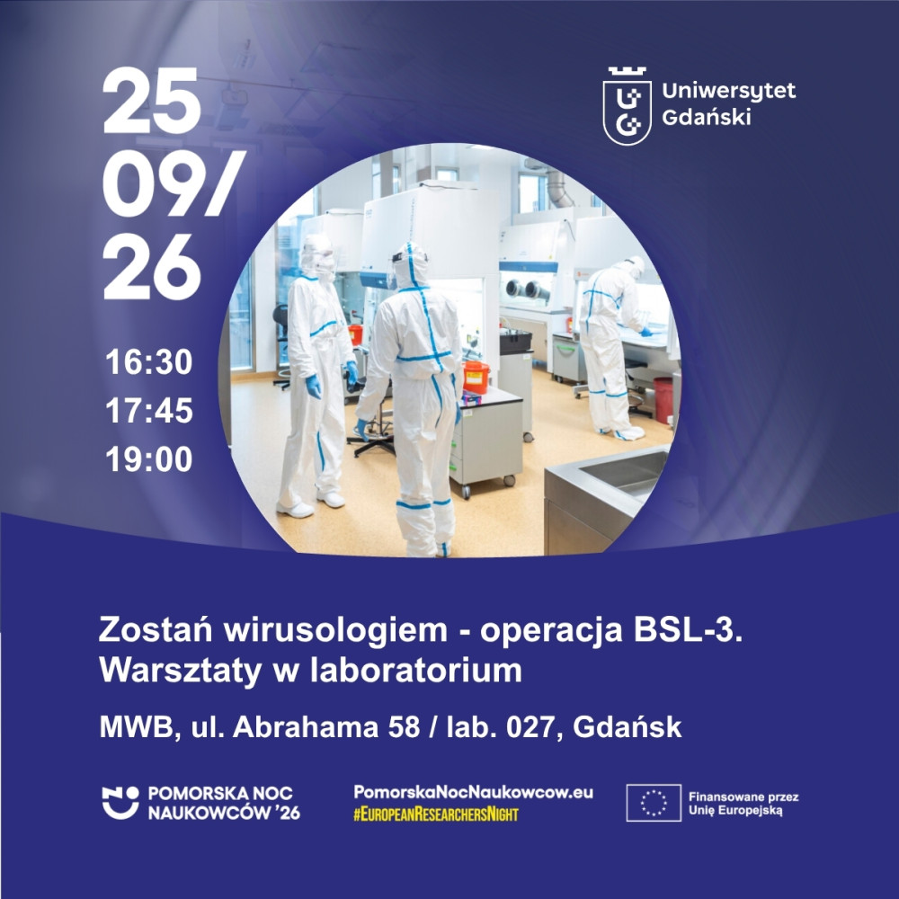 BSL 3