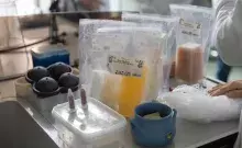 Warsztaty wygrane w aukcji "UG gra dla WOŚP"