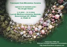 Trójmiejski Klub Miłośników Kwiatów zaprasza na wystawę prac "Na okrągło Święta"