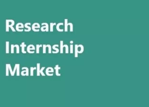 Platforma Research Internship Market