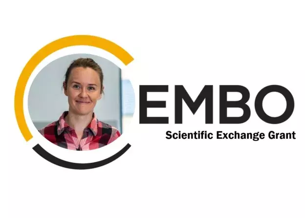 dr Anna Karłowicz otrzymała prestiżowy grant EMBO…