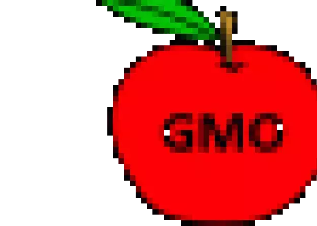 Debata na temat roślin GMO - warsztaty dla szkół