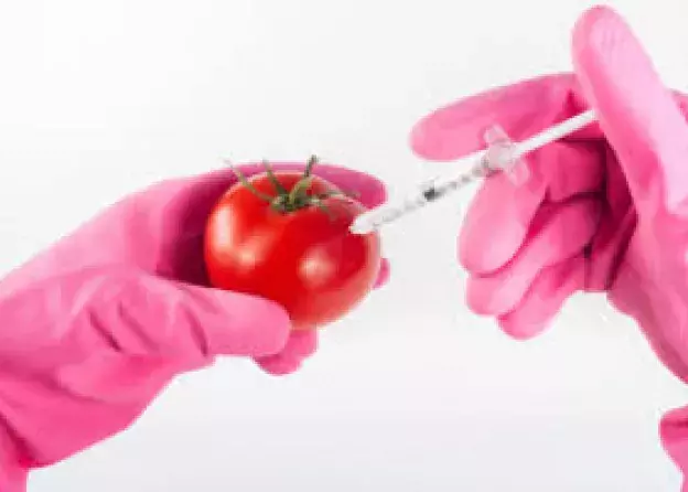 Debata na temat roślin GMO - Warsztaty Dla Szkół