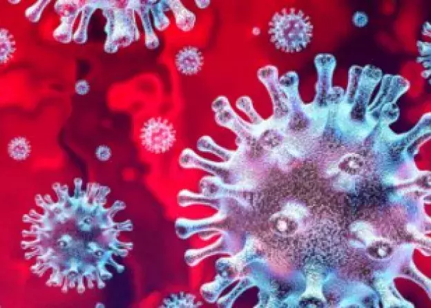 Naukowcy MWB UG i GUMed pracują nad szczepionką na koronawirusa