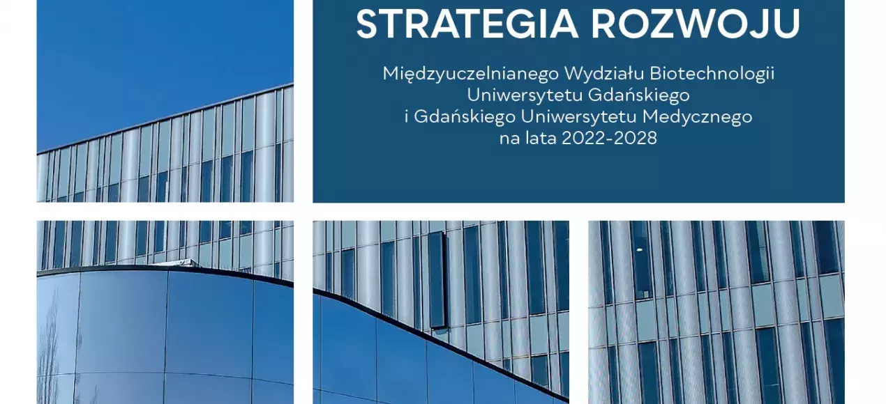 Strategia MWB