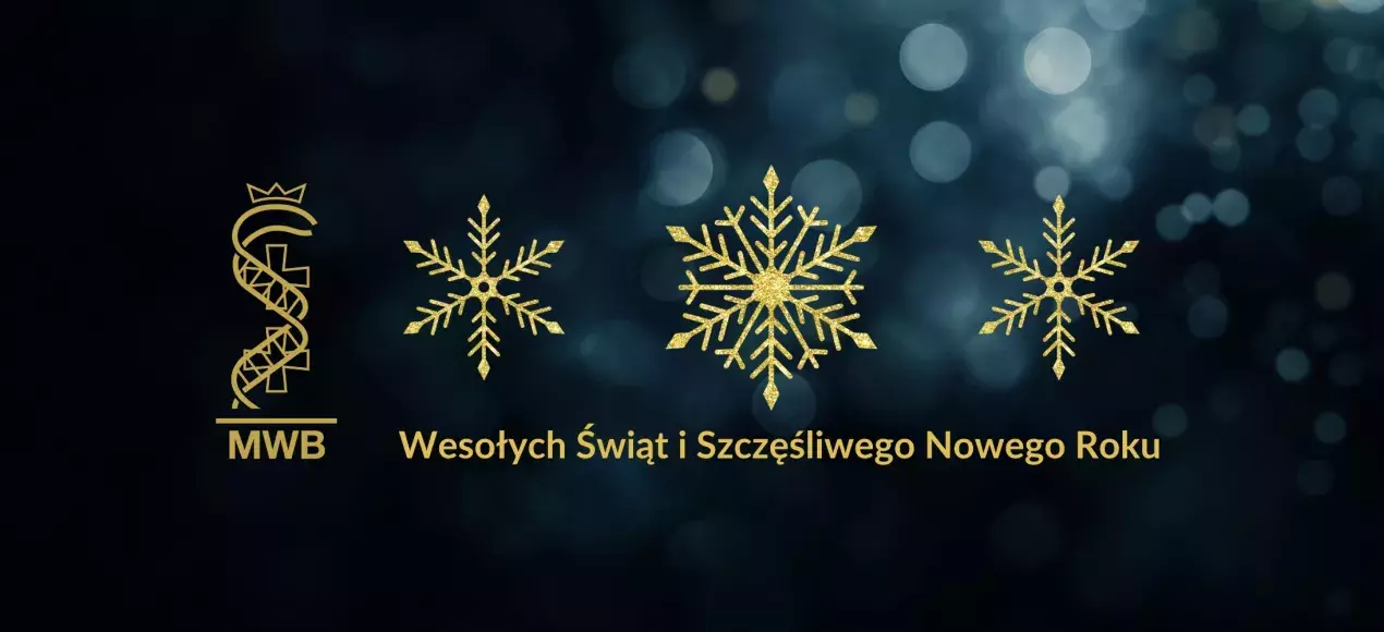 Trzy Złote Gwiazdki i złoty logotyp mwb
